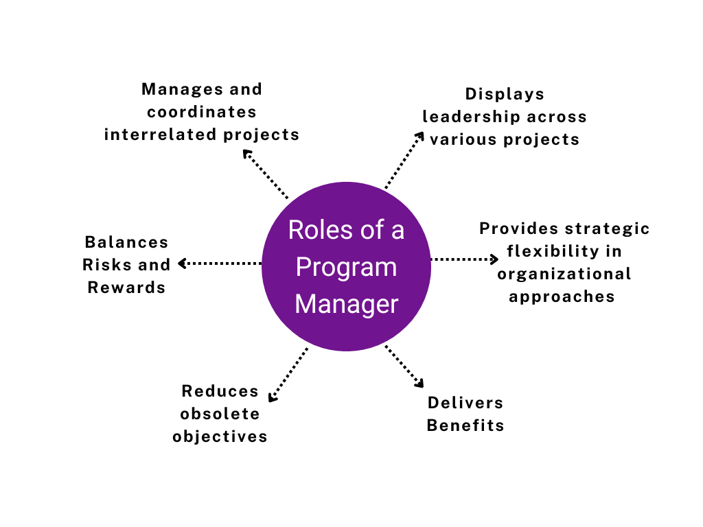 Roles of a Program Manager (1)