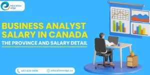 Business Analyst Salary in Canada: The Province and Salary Detail