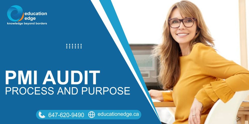 PMI Audit Process and purpose