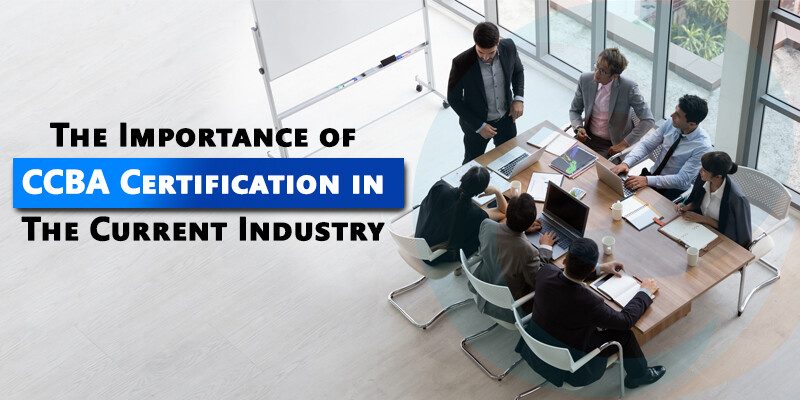 The-importance-of-CCBA-Certification-in-the-current-industry